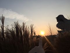 -北京园博大酒店