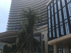 -舟山希尔顿酒店