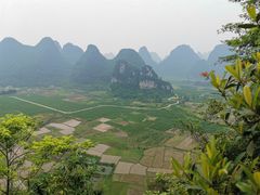 -会仙湿地