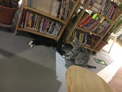 -小时光咖啡馆(开森度假森林店)