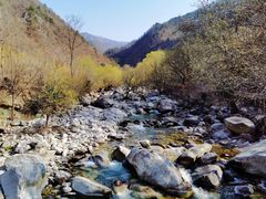 -黑河国家森林公园