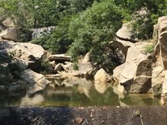 -连云港云龙涧原生态风景区