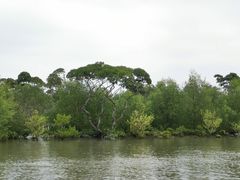 -东寨港红树林旅游区