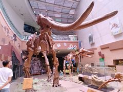 -陕西自然博物馆