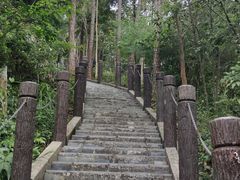 -田心森林公园