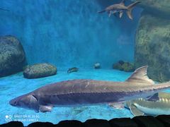 -多彩贵州城极地海洋世界