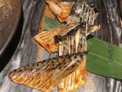 盐烤青花鱼-Hatsune隐泉日式料理(三里屯太古里店)