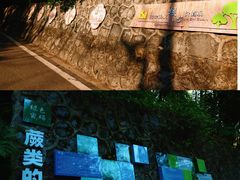 -三门江国家森林公园