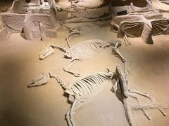 -洛阳周王城天子驾六博物馆