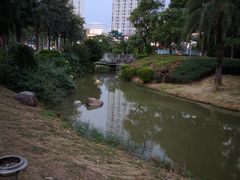 -华侨大学(厦门校区)