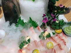 -一本钓鲔鱼屋