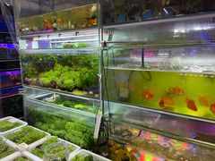 -双季花艺园艺市场(浦东店)