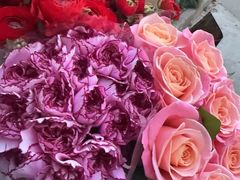 -双季花艺园艺市场(浦东店)