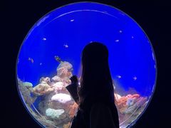 -江和美海洋公园
