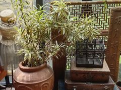 -古董花园(思南路42弄小区店)