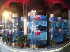 -蜀滋香鲜鱼美蛙火锅(339店)
