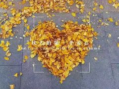 -旭龙鱼头王(航华店)