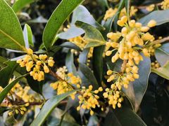 -杭州海华满陇度假酒店