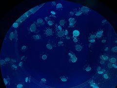 -沈阳海洋探索中心