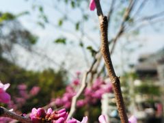 -乌山风景区