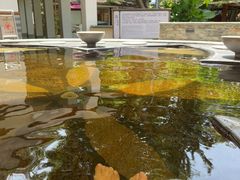 -碧水湾温泉