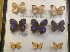 -蝴蝶泉公园