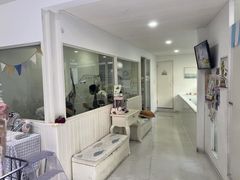 -BABYDOG宝贝狗宠物乐园(欧洲城店)