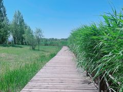 -野鸭湖国家湿地公园