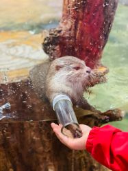 点击看大图 -Zoolung Zoolung动物主题公园(海信广场店)