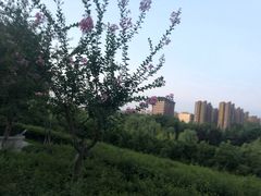 -西安汉城湖景区