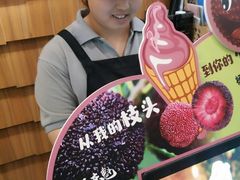 -野人先生现做冰淇淋(北京顺义祥云小镇店)