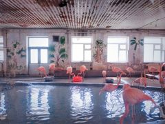 -哈尔滨北方森林动物园