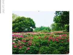 -幕燕滨江·长江观音景区