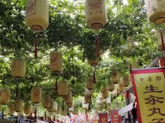 -中华郡文化旅游景区