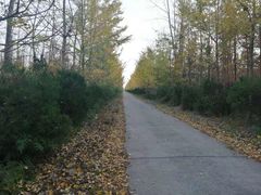 -黄海国家森林公园