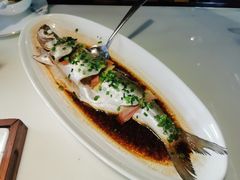 招牌清蒸钱塘江白条-柳莺湖上·湖景餐厅·江南菜(西湖店)