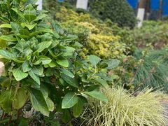 -常州古运河南大街文化旅游区-人民公园