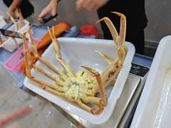 -震海贝烤贝·民俗特色店(延吉总店)