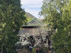 -大觉寺-停车场