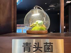 -芸山季·云南山珍菌火锅(人民广场来福士店)