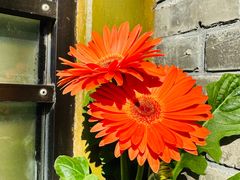 -三忘湖 SWANSEEN(柳荫公园店)