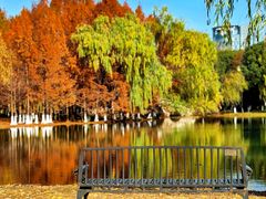 -浙江大学(紫金港校区)