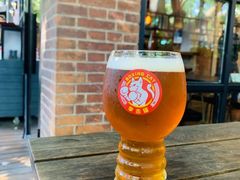 -Boxing Cat Brewery拳击猫精酿啤酒馆(永福店)