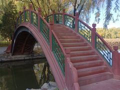 -圆明园停车场