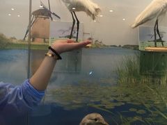 -下渚湖国家湿地公园科普馆