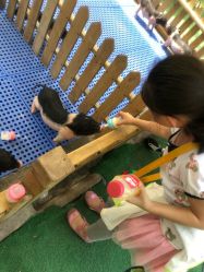 -萌宠亲子动物乐园(槐房万达店)