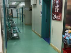 -北京观赏动物医院·24小时大型综合·猫专科·异宠专科