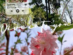 -陶然亭公园
