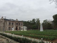 -玫瑰海岸文化旅游度假区