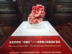 -湖南省地质博物馆